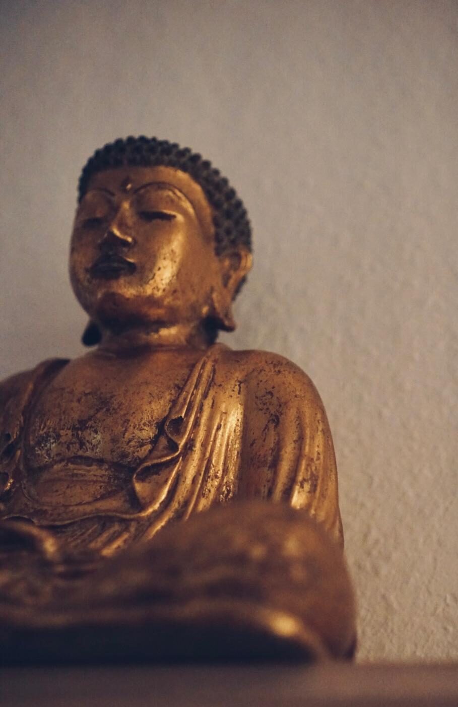 Yogawald Impressionen